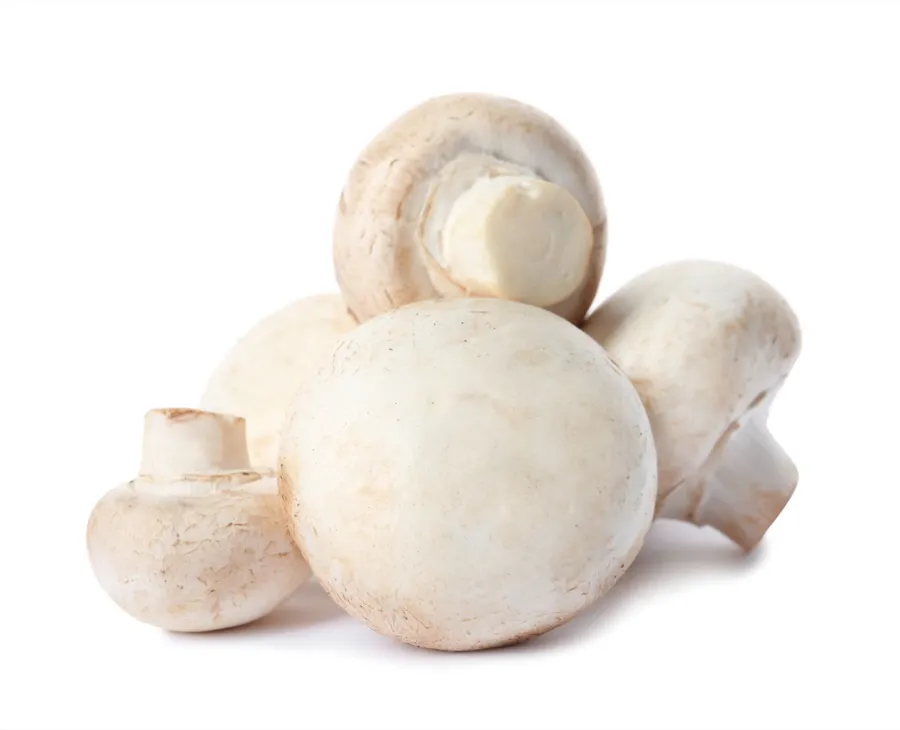 Hongos