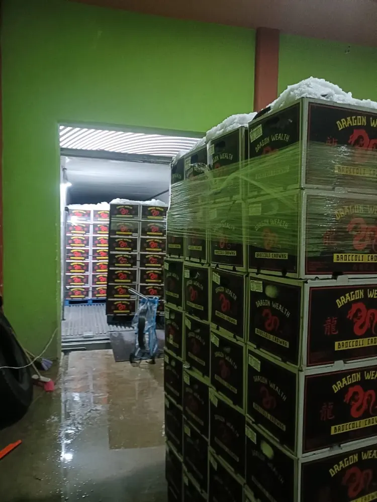 Cámara de frío Selectas